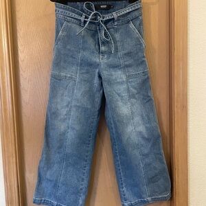 Hudson wide-legged Denim Jeans